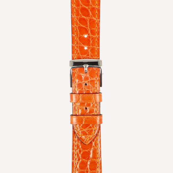  Alligator Pearls Slim brillant 