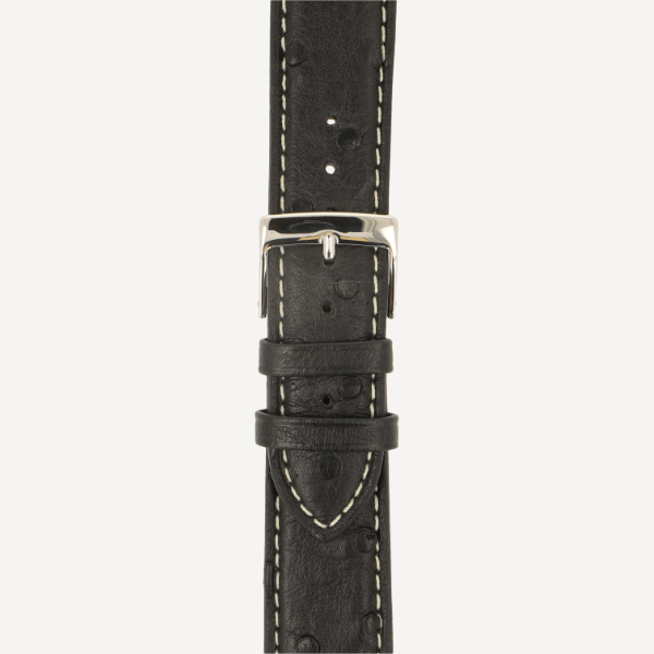 schwarz (No. 50)