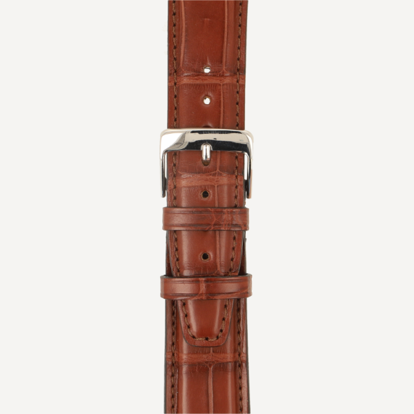 Alligator Full Cut Matt SCE Alligator Full Cut Matt SCE