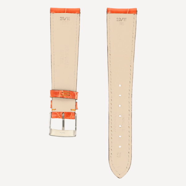  Alligator Classic Full Cut Brillant bombé