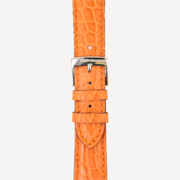  Alligator Classic Pearls matt