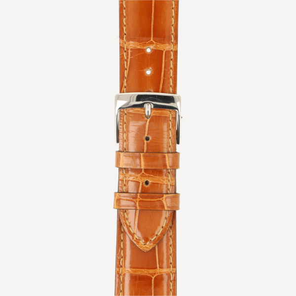  Alligator Classic Full Cut Brillant 