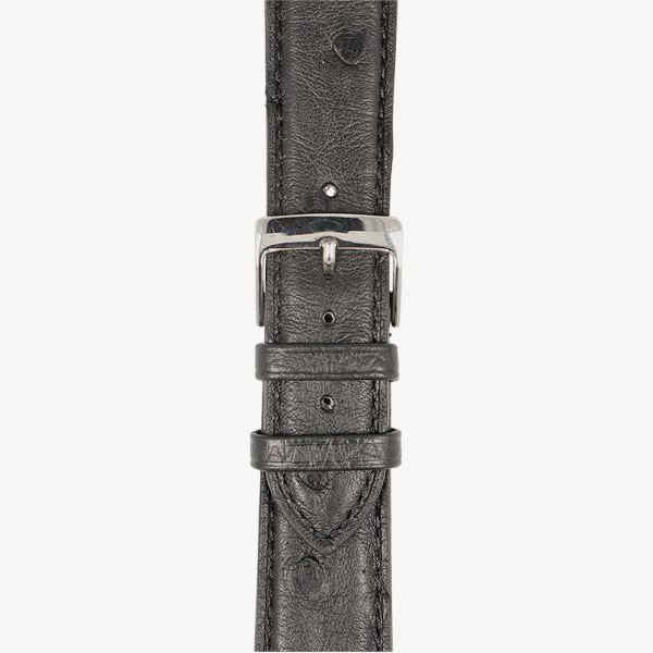 schwarz (No. 50)