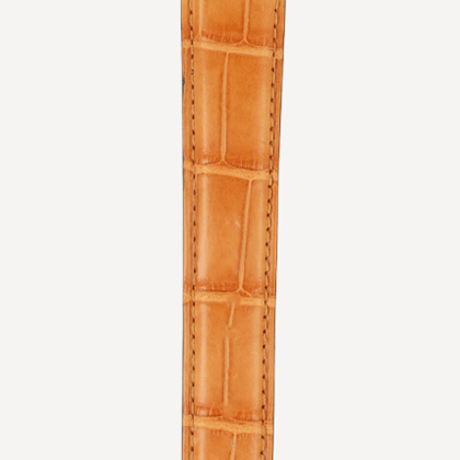 safari (No. 55)