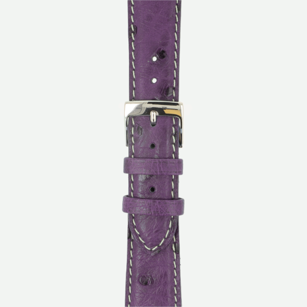 viola (No. 24)