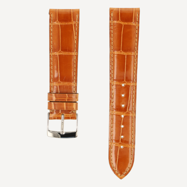  Alligator Classic Full Cut Brillant 