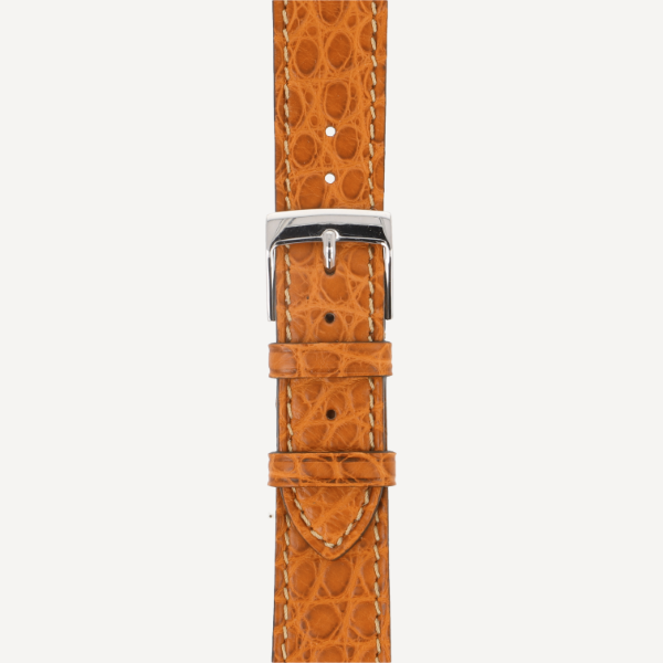 safari (No. 55)