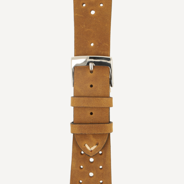 Mountain Bear Sebring