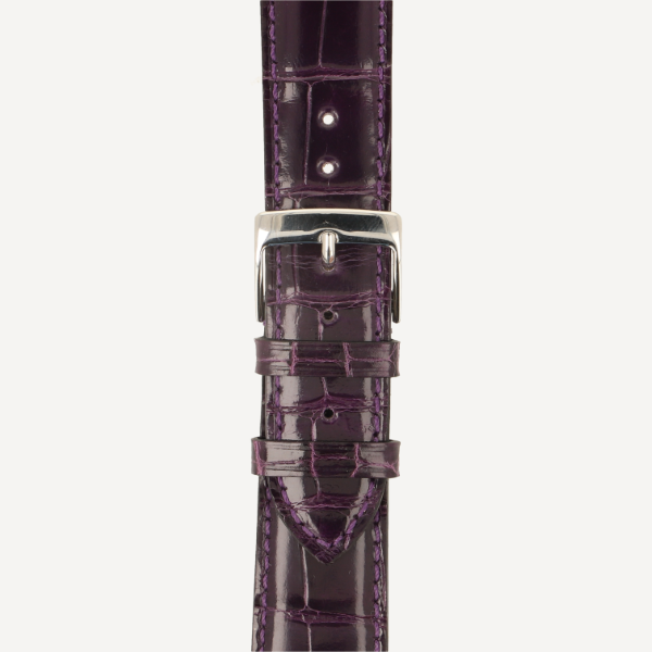 viola (No. 24)