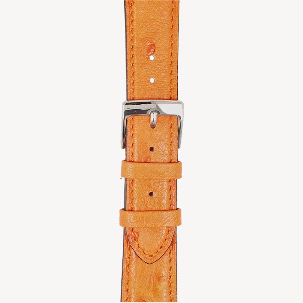 orange (No. 42)