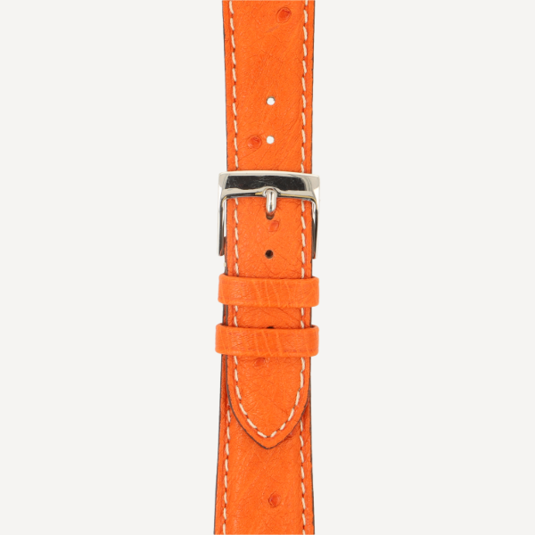 orange (No. 42)